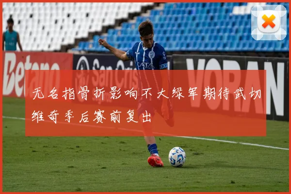 无名指骨折影响不大绿军期待武切维奇季后赛前复出