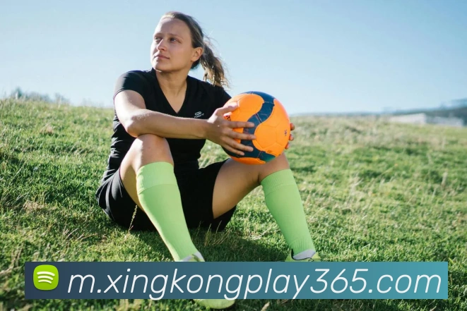 星空电子平台生态图