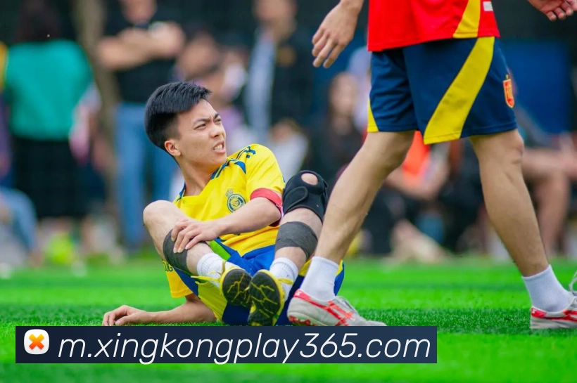 数据防护可视化